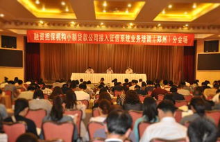 鄭州融資性擔保機構助力小微企業融資 政策支持與市場前景分析